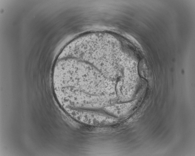 X0000072551183200608041640