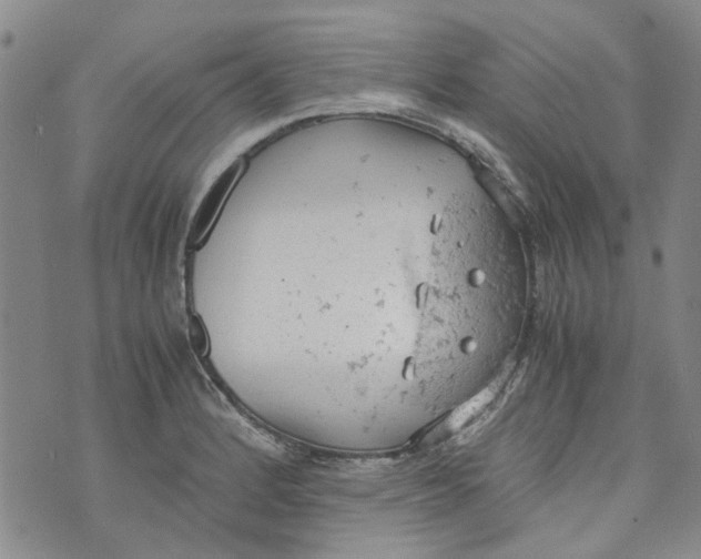 X0000072551184200608041640