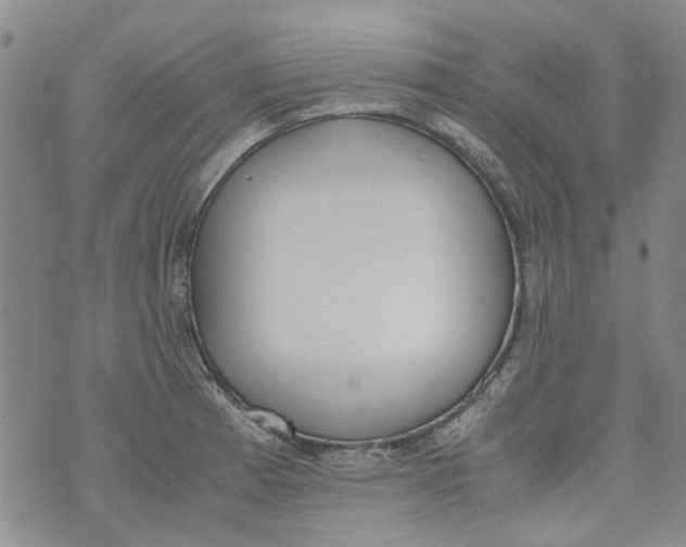 X0000072551185200608041640