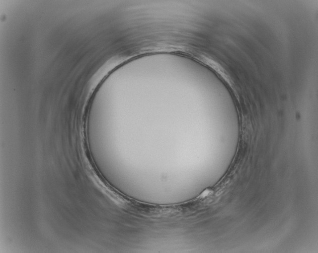 X0000072551187200608041640