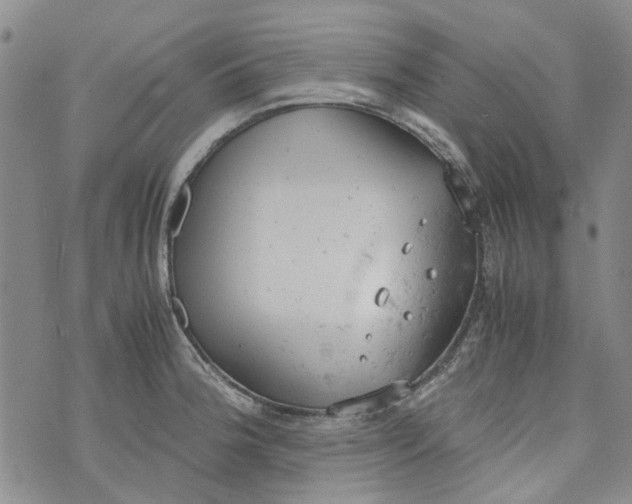 X0000072551188200608041640