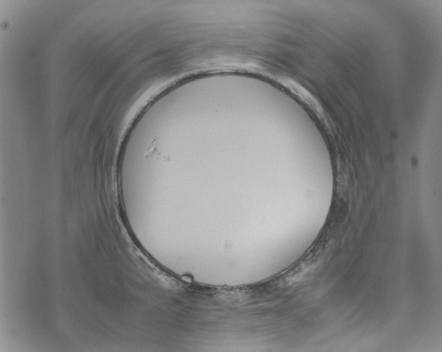 X0000072551191200608041640