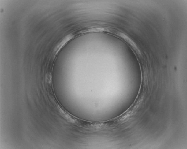 X0000072551193200608041640