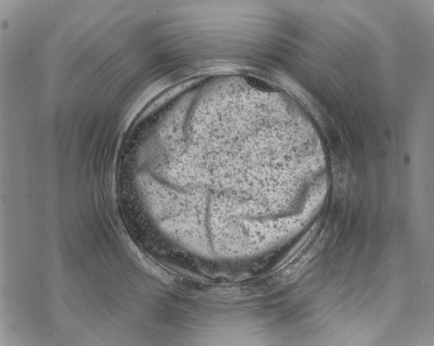 X0000072551194200608041640