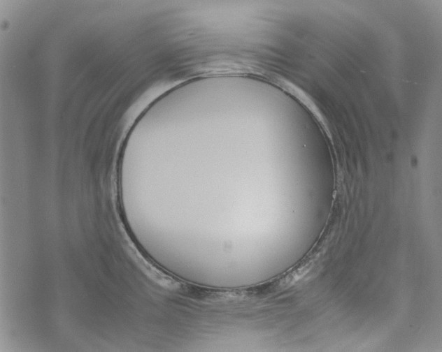 X0000072551195200608041640