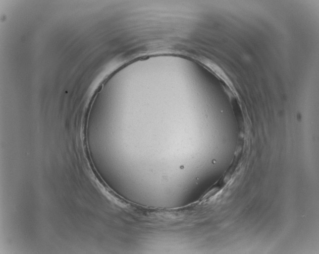 X0000072551197200608041640