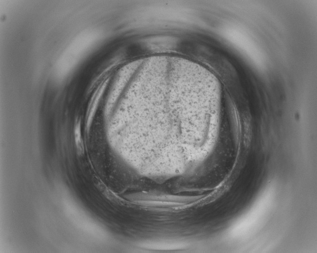 X0000072551198200608041640