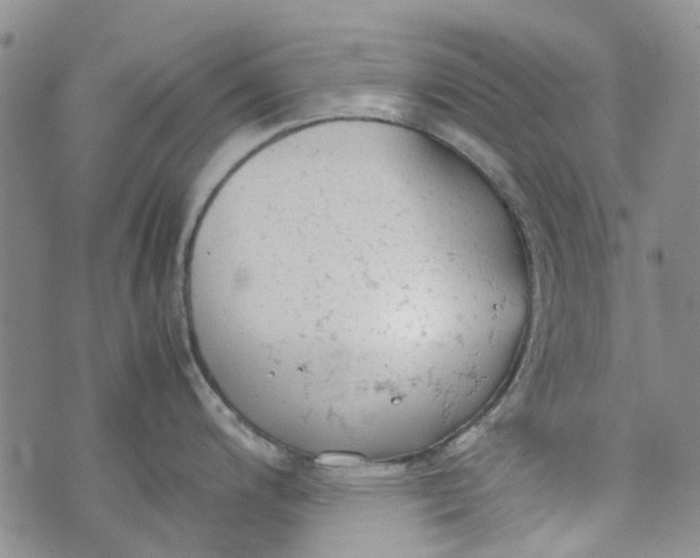 X0000072551200200608041640