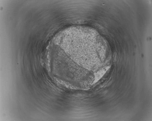 X0000072551202200608041639