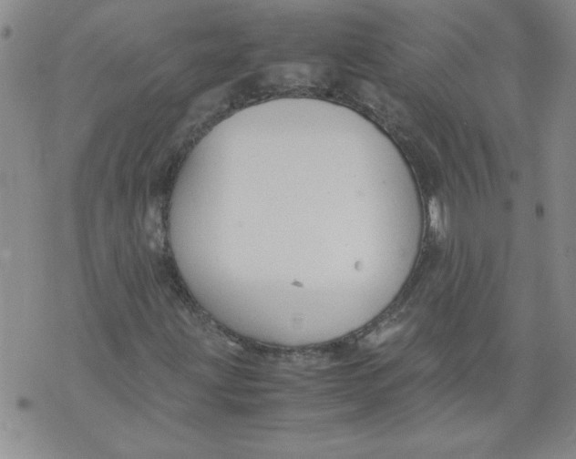 X0000072551203200608041639