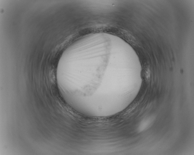 X0000072551204200608041639