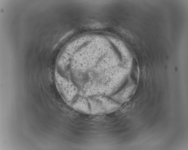 X0000072551205200608041639