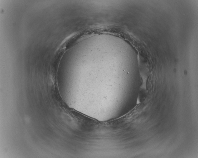 X0000072551206200608041639