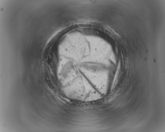 X0000072551208200608041639