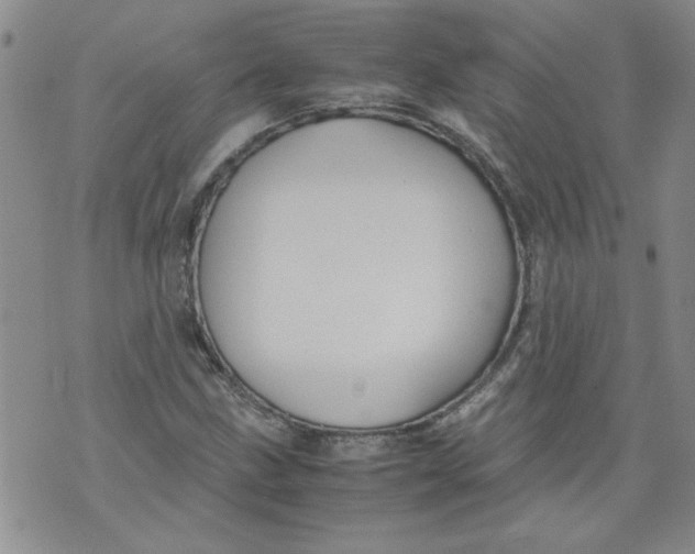 X0000072551211200608041639