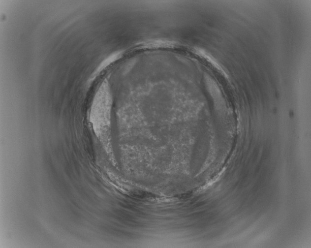 X0000072551213200608041639