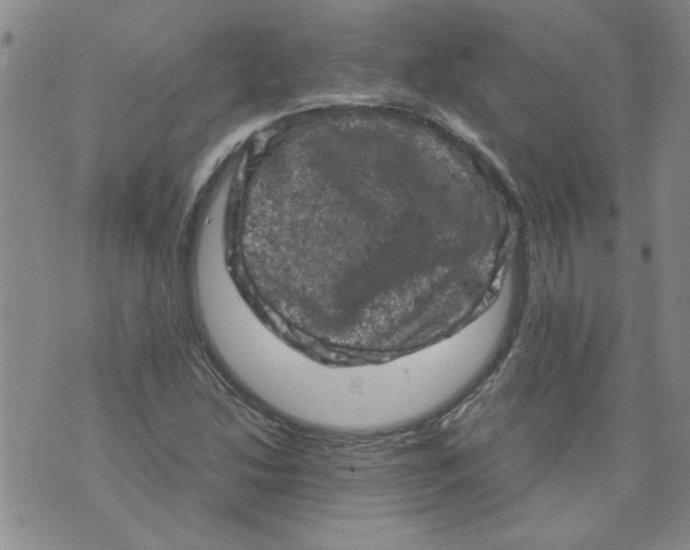 X0000072551214200608041639