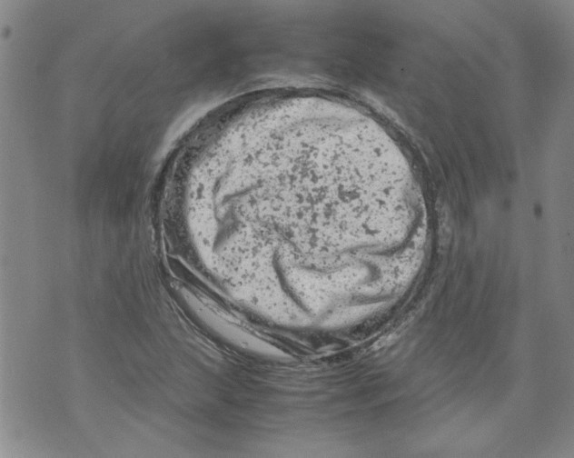 X0000072551215200608041639