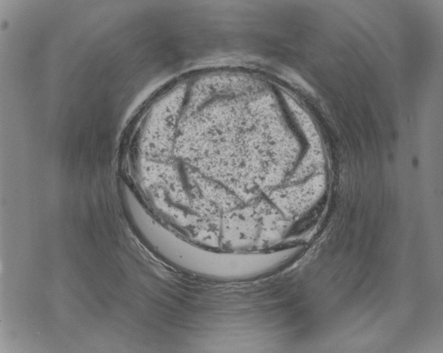 X0000072551216200608041639