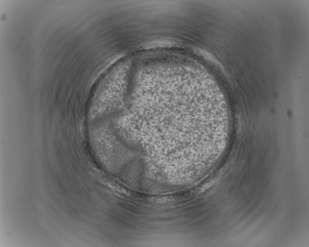 X0000072551217200608041639