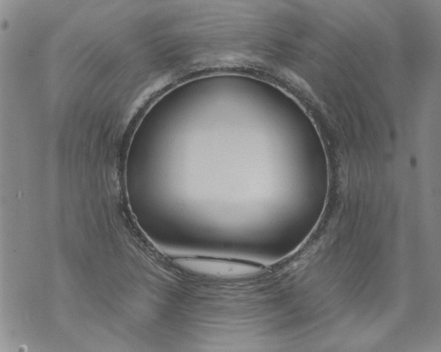 X0000072551218200608041639