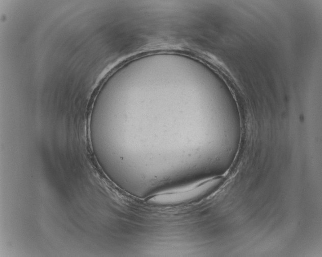 X0000072551220200608041640