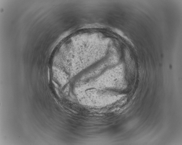 X0000072551221200608041640