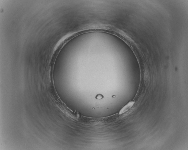 X0000072551222200608041640