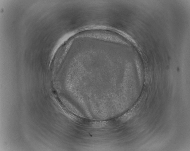 X0000072551223200608041640