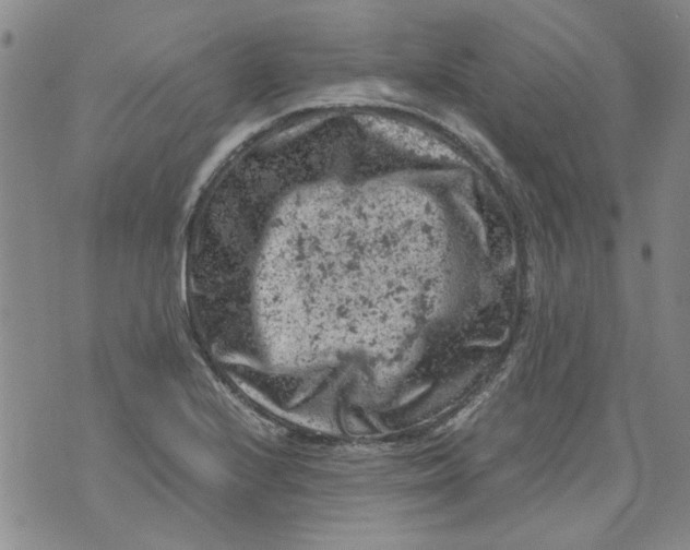 X0000072551224200608041640