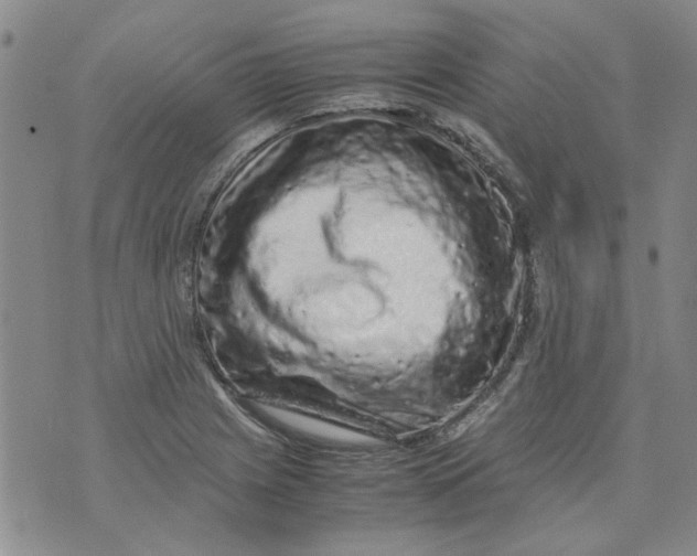 X0000072551225200608041640