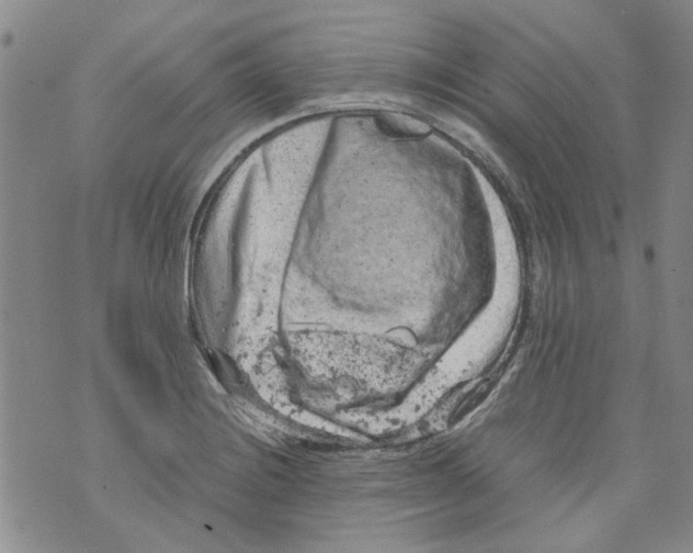 X0000072551228200608041640