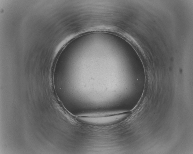 X0000072551230200608041640