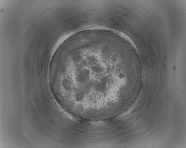 X0000072551231200608041640