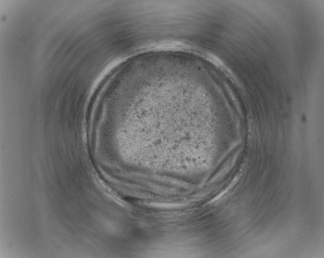 X0000072551232200608041640