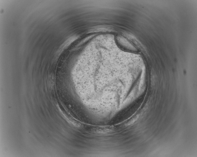 X0000072551233200608041640