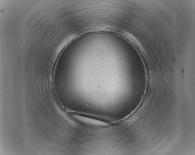 X0000072551234200608041640