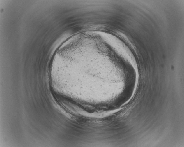 X0000072551235200608041640