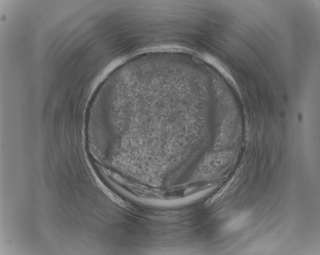 X0000072551237200608041640