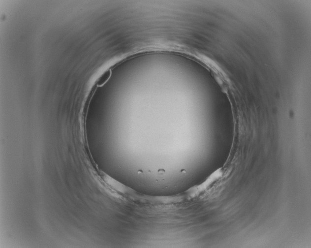 X0000072551238200608041640