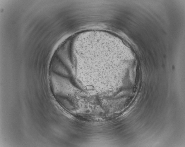 X0000072551240200608041640