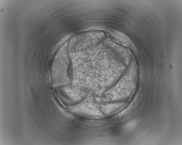 X0000072551241200608041640