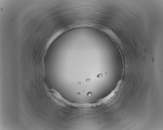 X0000072551242200608041640