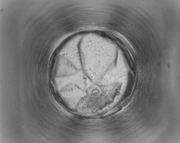 X0000072551244200608041640