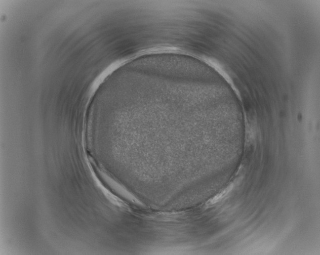 X0000072551245200608041640