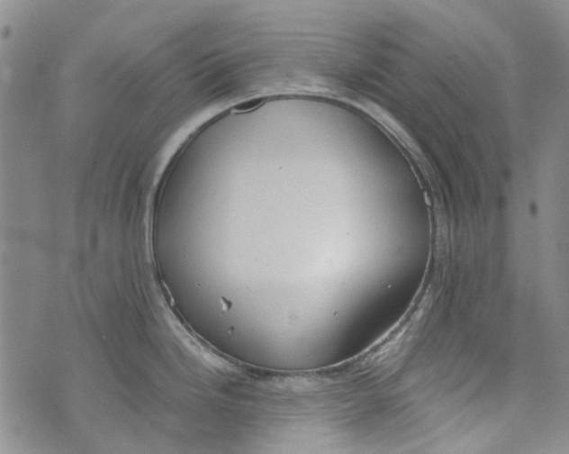 X0000072551246200608041640