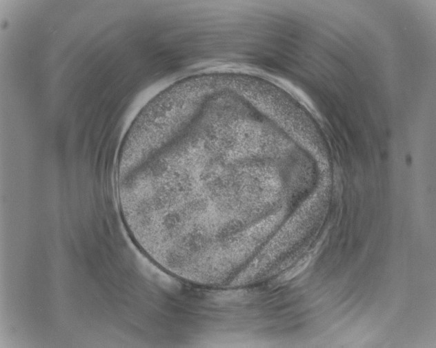 X0000072551247200608041640