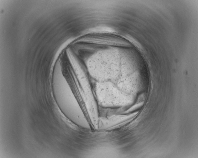 X0000072551248200608041640