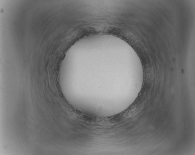 X0000072551249200608041639