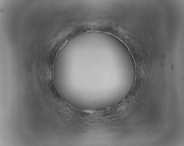 X0000072551253200608041639